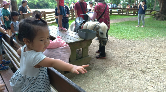 1Y11M嬰兒，遊玩飛牛牧場-騎迷你馬